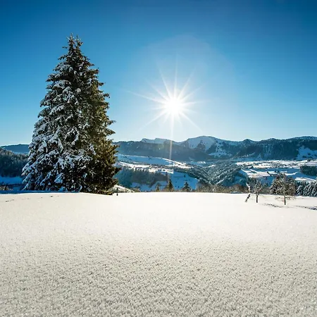Allgaeu Luxury Apartment Bergloewe Mit Sauna Oberstaufen Exterior foto