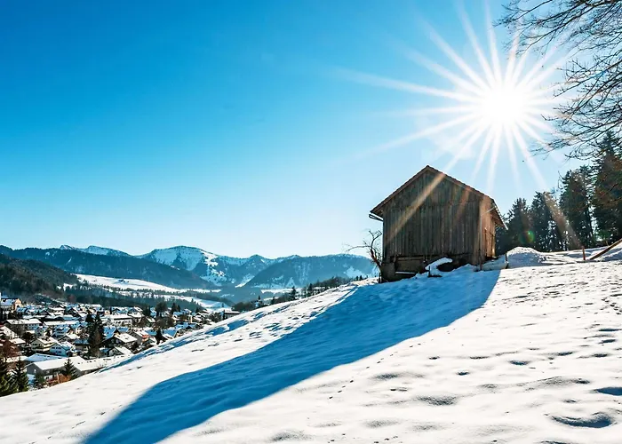Allgaeu Luxury Apartment Bergloewe Mit Sauna