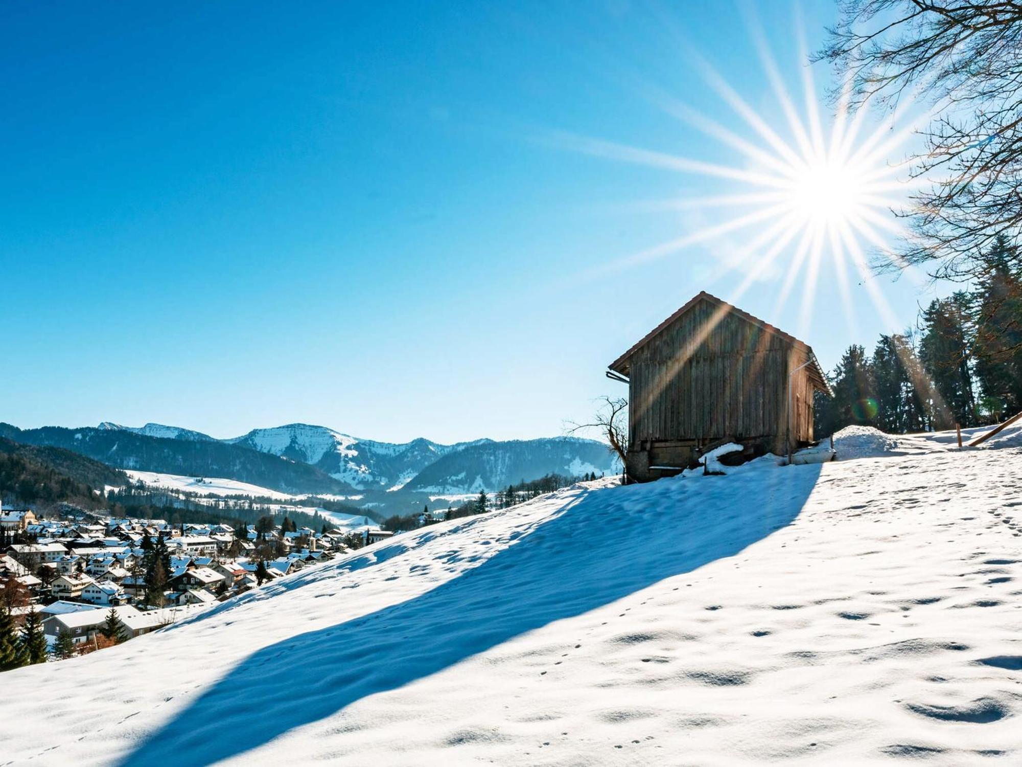 Allgaeu Luxury Bergloewe Mit Sauna Apartment *