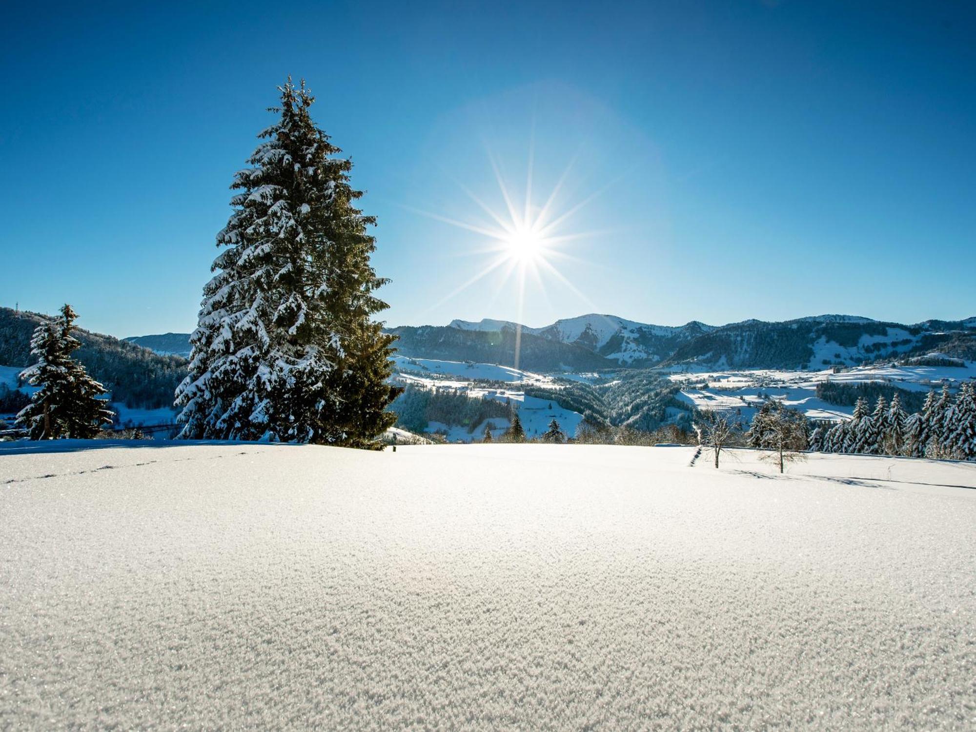 Allgaeu Luxury Bergloewe Mit Sauna *