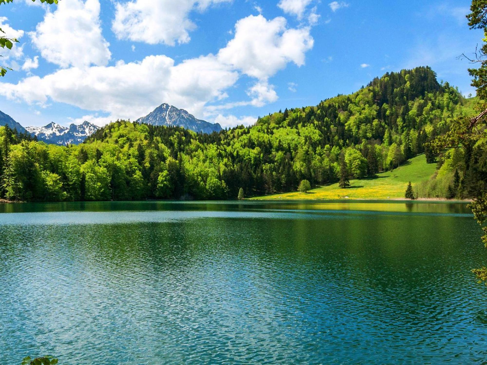 Apartment Allgaeu Luxury Bergloewe Mit Sauna Oberstaufen