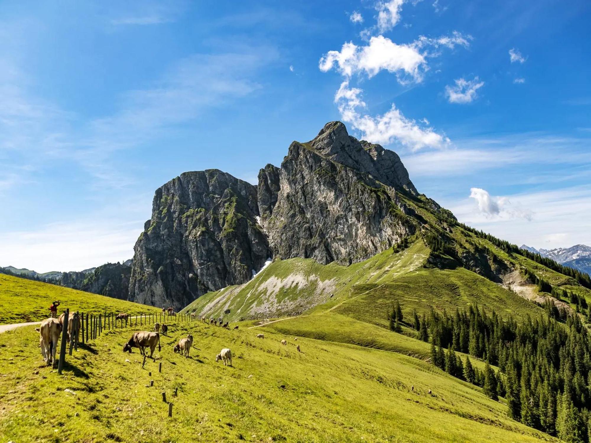 Allgaeu Luxury Bergloewe Mit Sauna * Oberstaufen